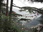 Prayer Flags