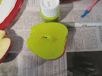 Maura recommended making sure that paint is evenly distributed on the apple by wiping with a paper towel, then doing a practice stamp on paper before applying the paint to cloth. Maura recommended making sure that paint is evenly distributed on the apple by wiping with a paper towel, then doing a practice stamp on paper before applying the paint to cloth.