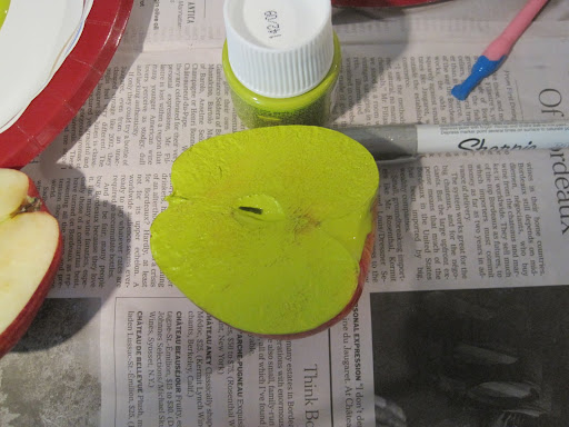 Maura recommended making sure that paint is evenly distributed on the apple by wiping with a paper towel, then doing a practice stamp on paper before applying the paint to cloth. Maura recommended making sure that paint is evenly distributed on the apple by wiping with a paper towel, then doing a practice stamp on paper before applying the paint to cloth.