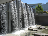 IMG_7333.JPG