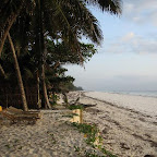 diani-3.jpg