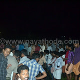 crocodile at nayathode 18.JPG