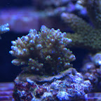 DSC_2124.jpg