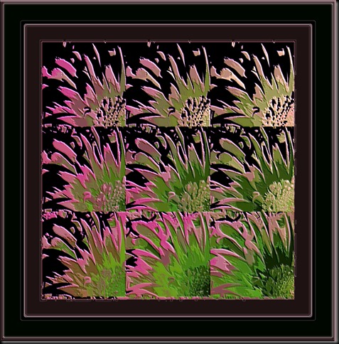 pink and green1a