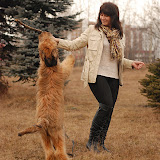 Abi - DSC_0127.jpg