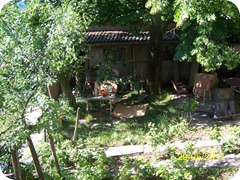 100_1058 100_1058