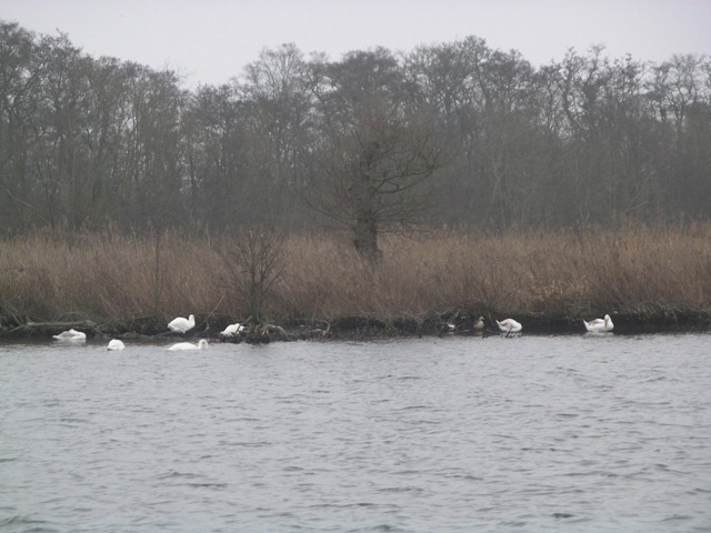 IMGP2199