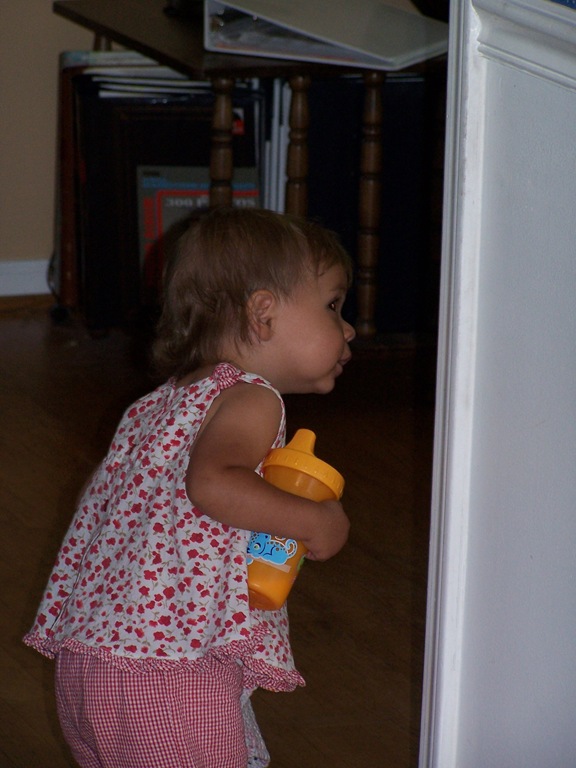 [100_3749%255B4%255D.jpg]