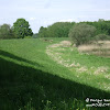 dsc06822.jpg