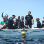 The gang - These are all my dive buddies on the Tubbataha trip.