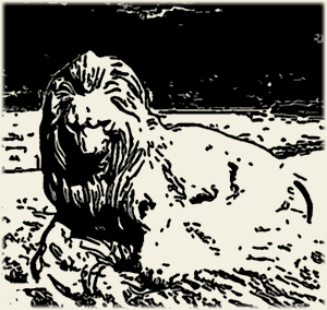 lion-sand