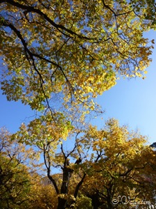 [P11208883.jpg]