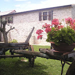 vp1010068.jpg