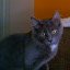 Reneseme at 14 weeks old, July 25, 2009 Reneseme at 14 weeks old, July 25, 2009