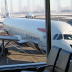 HavaDo_4895.JPG