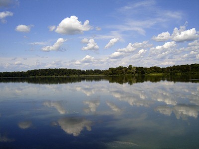 DSC01350