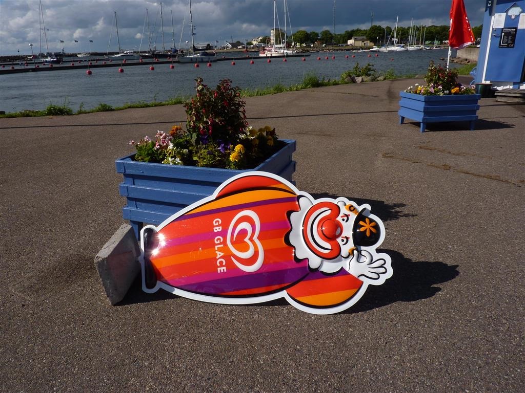 [P1030310-Medium7.jpg]