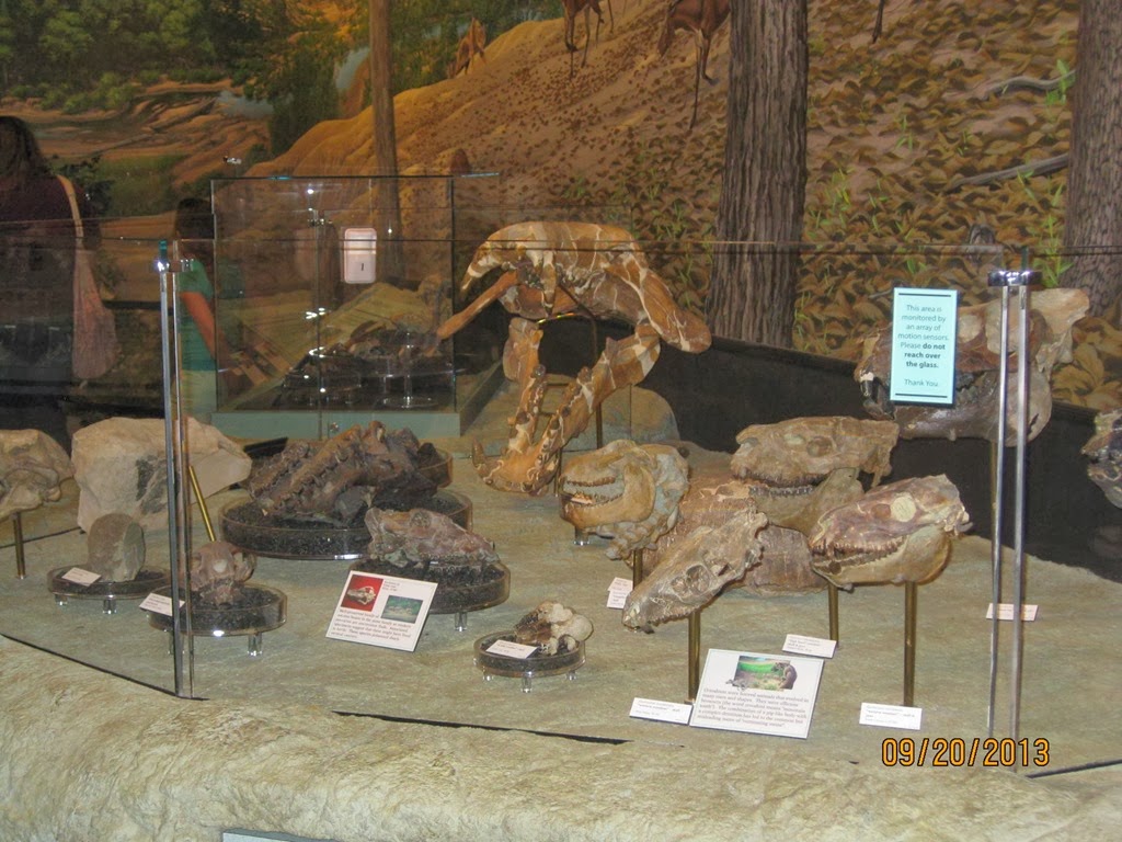 [Visitors-Center-at-John-Day-Fossil-B%255B2%255D.jpg]