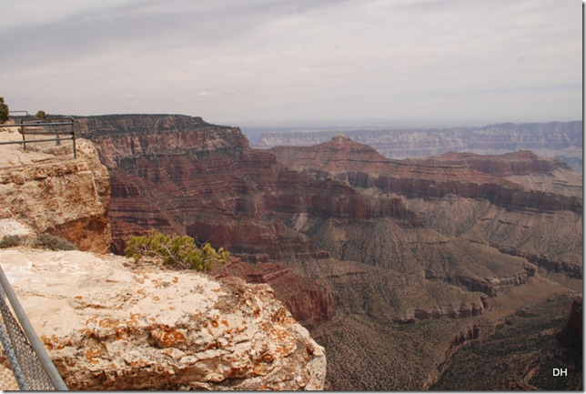 05-17-13 B Grand Canyon North Rim Drive (168)