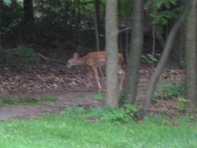 [IMG_3102%255B2%255D.jpg]