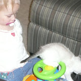 kittaykittaykack