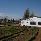 Food garden