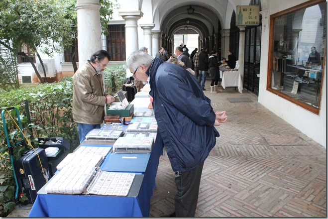 IMG_8209 IMG_8209