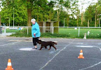 Oefenen met Fenna