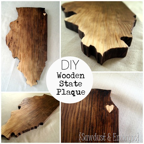 DIY Wooden State Plaque (Illinois) by Sawdust and Embryos!