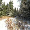 DSCN2921.jpg