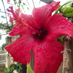 DSCF1135.JPG