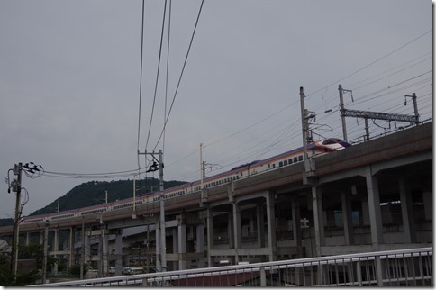IMGP9493 IMGP9493