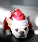 Ho-Ho-Ho And Merry Christmas!!!