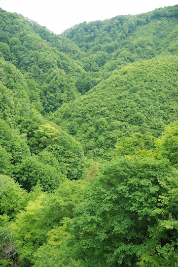 菅沼谷