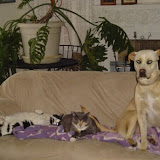 Charlie, Grace and Sam.