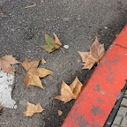 Oto&ntilde;o en Montevideo