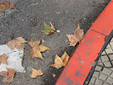Oto&ntilde;o en Montevideo