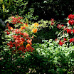 Gleaner Gardens 074.JPG