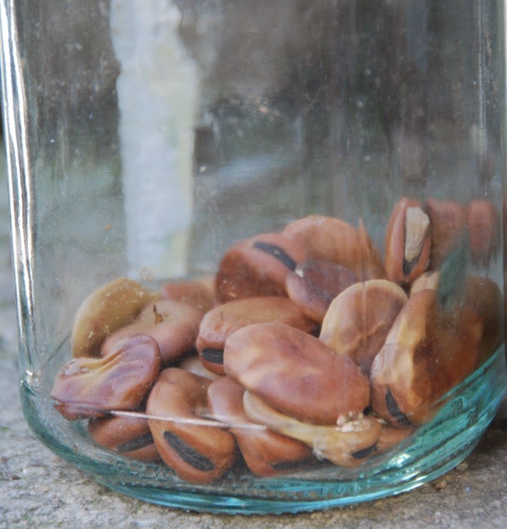 [DSC_0949%255B10%255D.jpg]