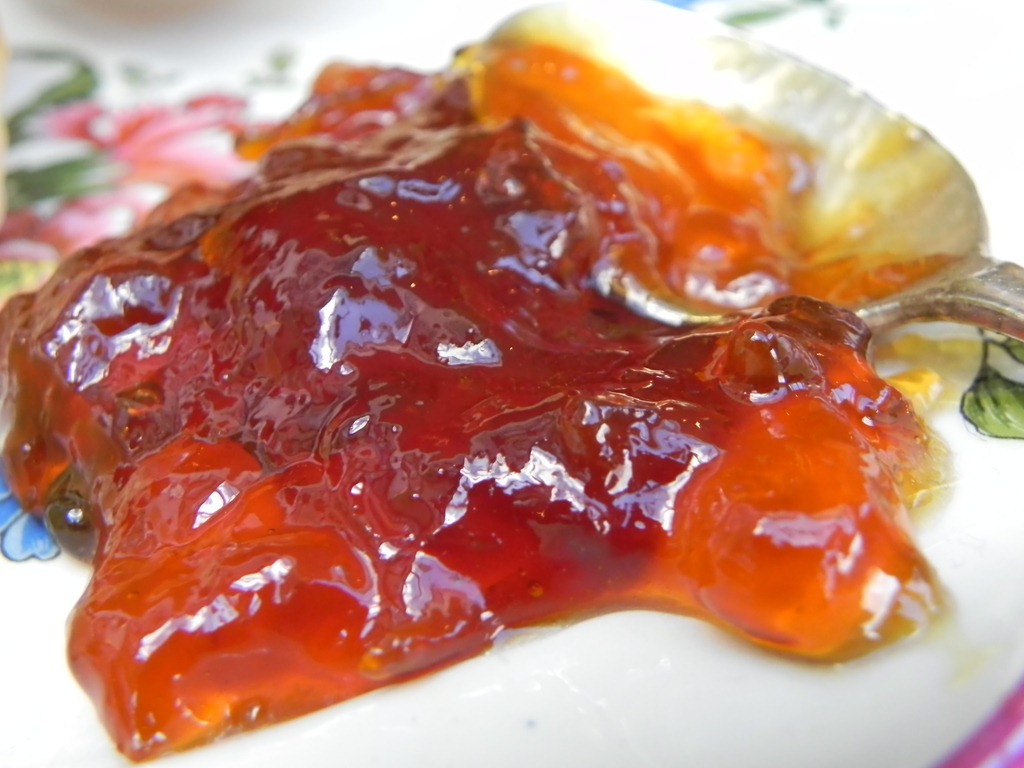 [DSCN8285%255B3%255D.jpg]