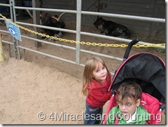 IMG_6022 IMG_6022