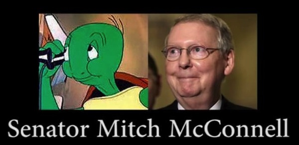 CC Photo Google Image Search Source is whistleblower newswire com  Subject is turtle mcconnell