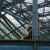 01.05.2011 Ausflug Neunkircher Zoo p2