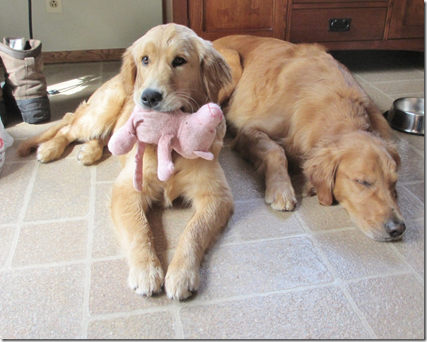 Sleepy3 Sleepy3