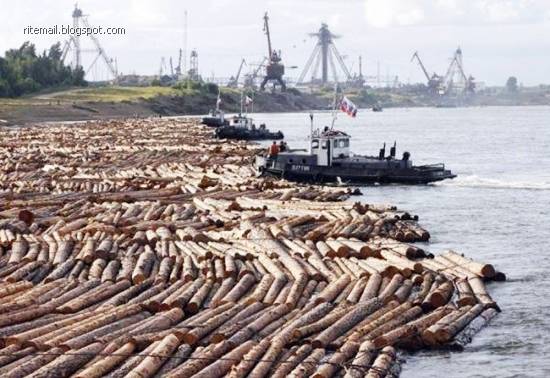 You don't take a photograph, you make it. - Ansel Adams