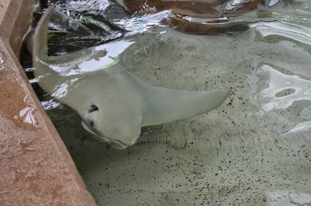 [DSC_9001%255B3%255D.jpg]