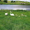 Biodiversity on Irish Farms-Marian Hennessy.JPG