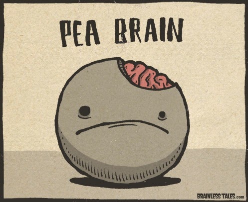 [pea-brain%255B3%255D.jpg]