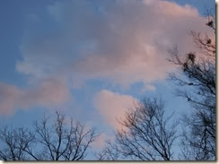 little pink cloud little pink cloud
