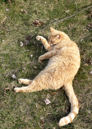 [spring_3%255B5%255D.jpg]